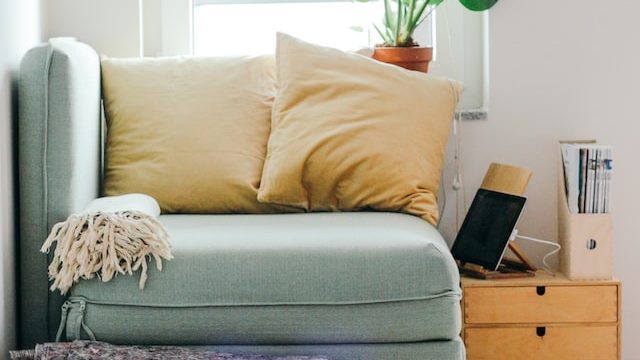 3 House Painting Tips for Pet-Friendly Homes