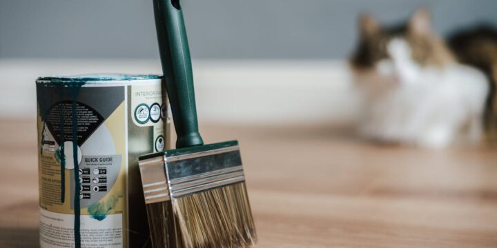 5 Best Practices for Eco-Friendly House Painting